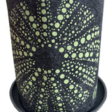 Kina Green On Grey - Ecofelt Growbag