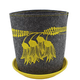 Kōwhai Yellow On Mid Grey - Ecofelt Growbag