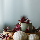 Ceramic Kina Bowl