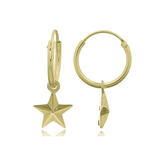 Gold Plated Hoop & Star Earrings