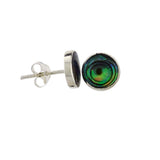 Pāua stud earring  round