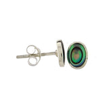 Pāua stud earring  oval